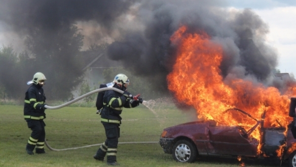 Den IZS 2012