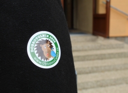 úklid Česka plus sběr kaštanů říjen 2025 na DM