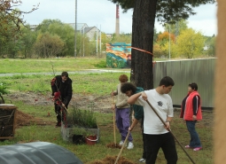 úklid Česka plus sběr kaštanů říjen 2025 na DM