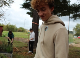 úklid Česka plus sběr kaštanů říjen 2025 na DM